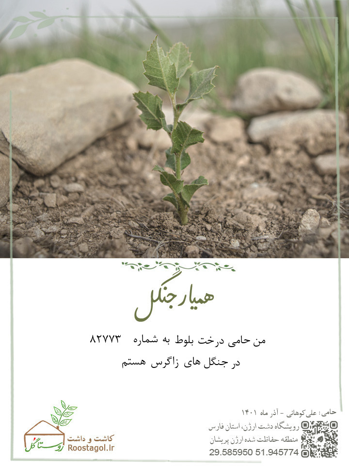 سفارش درخت
